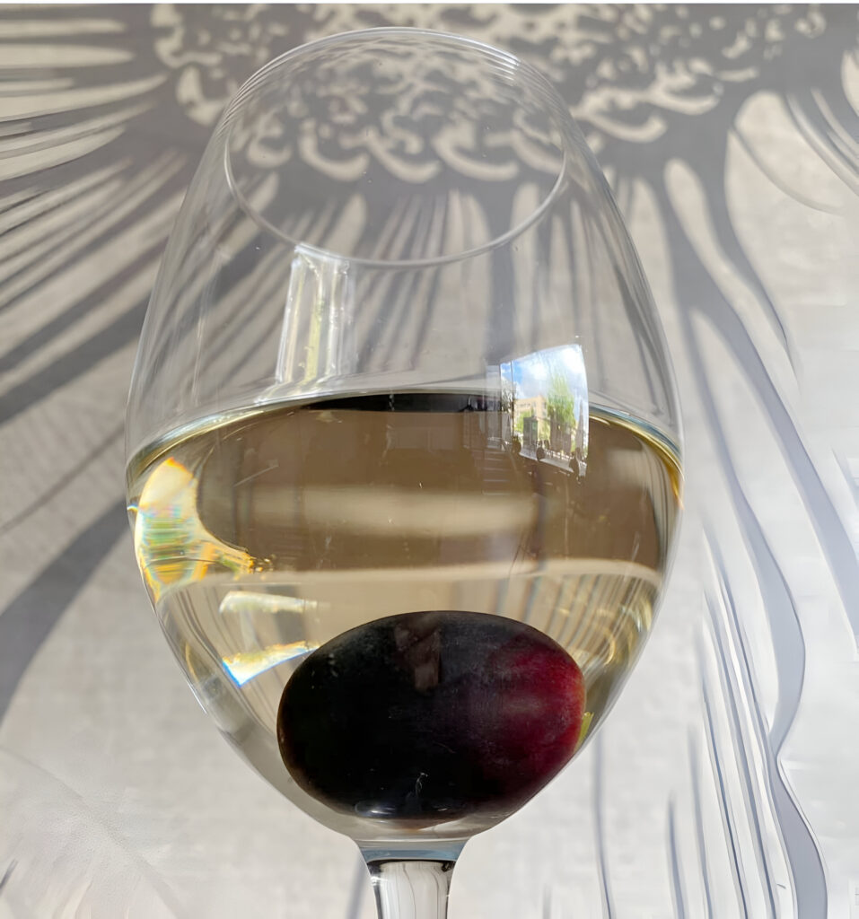 copa de vino blanco copia
